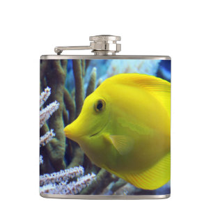Gult Fickplunta