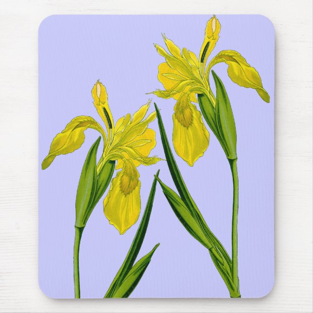 Gult Flagga Iris Twillingars Mousepad Musmatta (Framsidan)