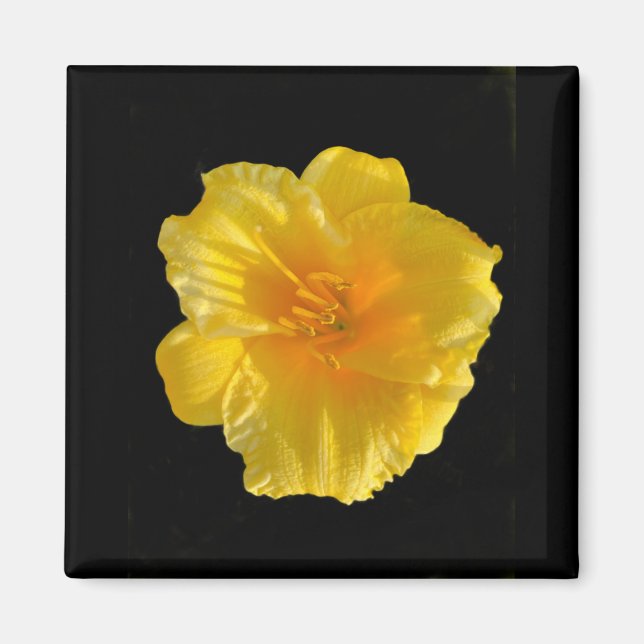 Gult Flower 2-tums kvadratisk magnet (Framsidan)