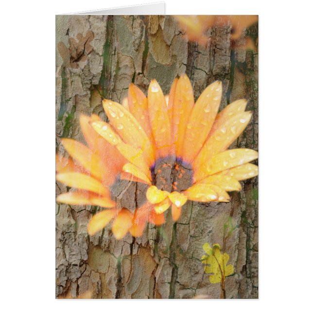 Gult Flower Bark Hälsningskort (Framsidan)