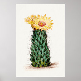 Gult Flower Cactus Sketch Art Poster