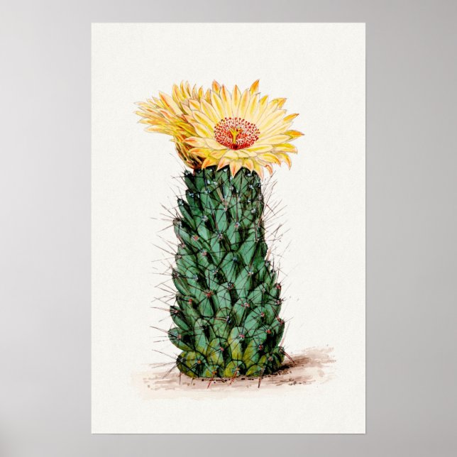 Gult Flower Cactus Sketch Art Poster (Framsidan)