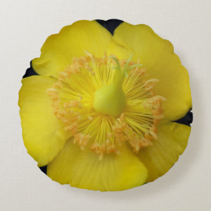 Gult Flower Close up Photo Rpund Pillow Rund Kudde