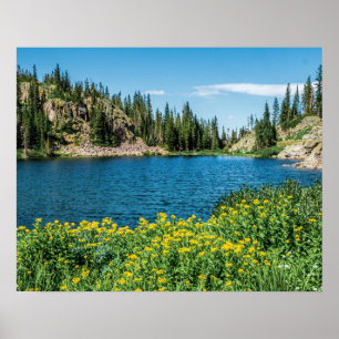 Gult Flower Sjö // Mountain Landscape Poster