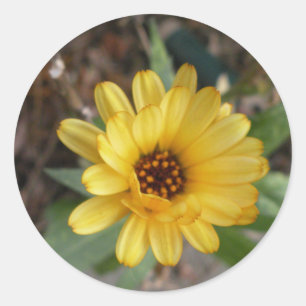 Gult Flower Small Sticker Runt Klistermärke