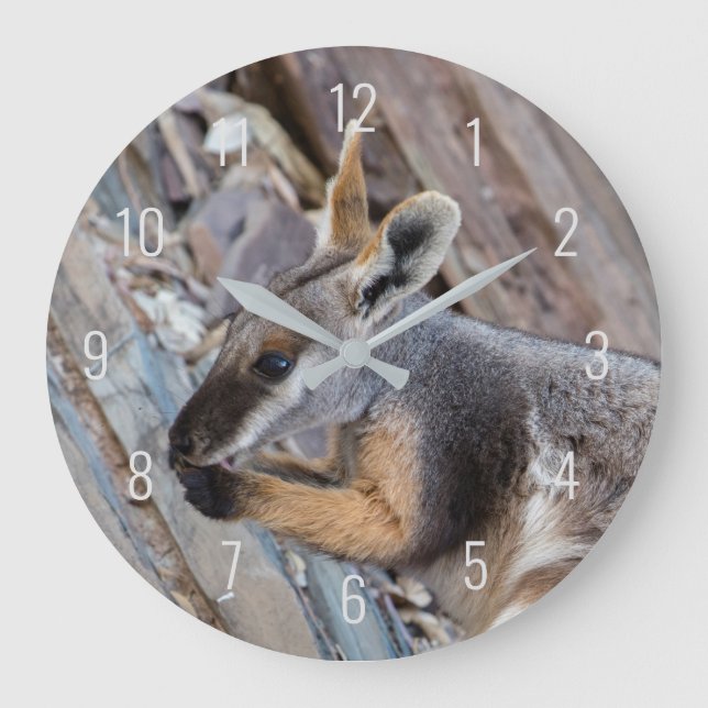 Gult Footed Sten Wallaby Kangaroo Australia Stor Klocka (Framsida)