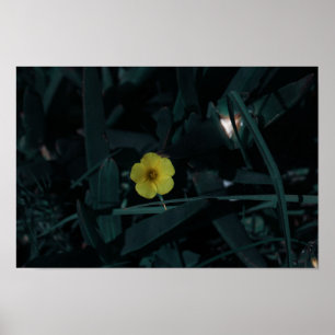 Gult för Grönt av sydlig Afrika, ursprungsblommor Poster
