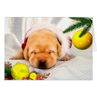 Gult för tacksamhetvecka 2 hälsningskort