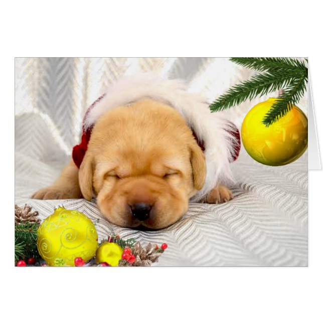 Gult för tacksamhetvecka 2 hälsningskort (Framsidan Horizontal)