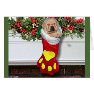 Gult för tacksamhetvecka 3 hälsningskort