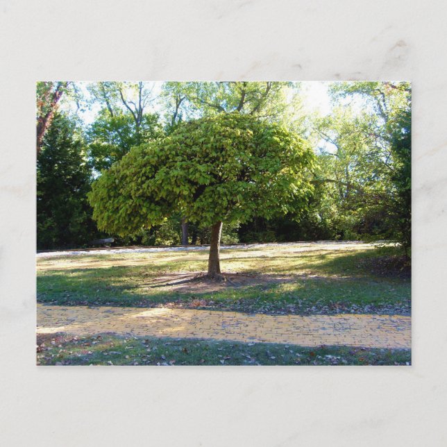 gult för tegelväg 2 vykort (Framsida)