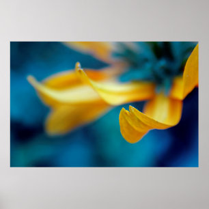 Gult för vacker Abstrakt i Elegant - Coneflower Pe Poster