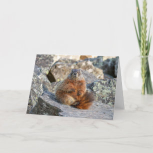 Gult-försedd med Marmot-väggen Kort