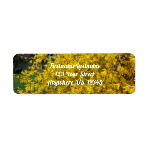 Gult Forsythia Flowers Orton Effect Adress Returadress Etikett