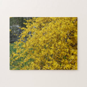 Gult Forsythia Flowers Orton Effekt Pussel