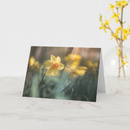 Gult Foto av blomdil Kort