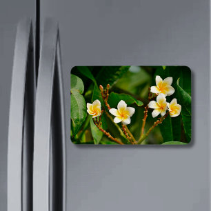 Gult Frangipani Magnet