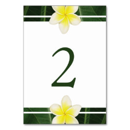 Gult Frangipani Plumeria Bröllop Bordsnummer