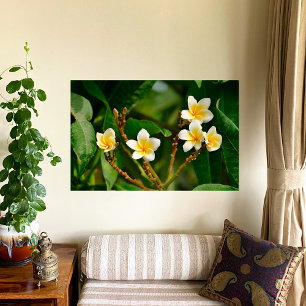 Gult Frangipani Poster