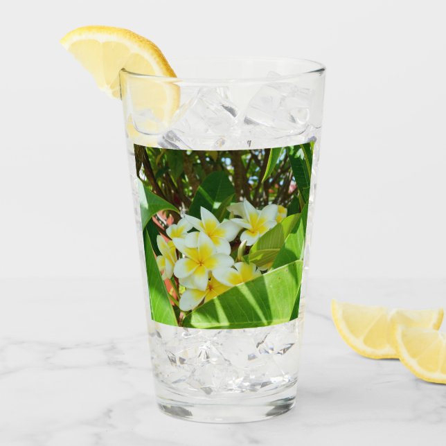 Gult Frangipani Träd, dricksglas Glaskopp (Framsida Ice)