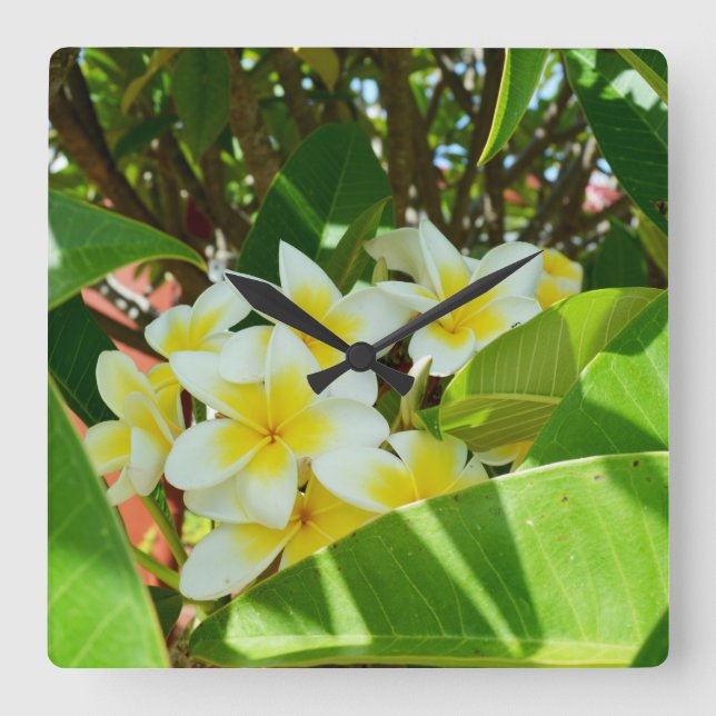 Gult Frangipani Träd Fyrkantig Klocka (Framsida)
