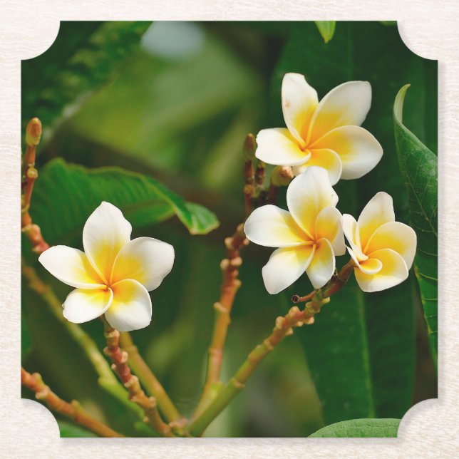 Gult Frangipani Underlägg Papper (Framsida)