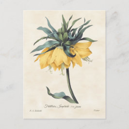 Gult Fritillaria Vintage Botanical Vykort
