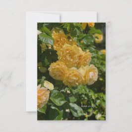 Gult Garden Ro Anteckningskort