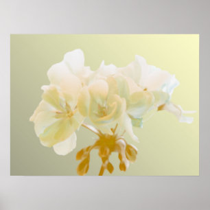 Gult Geranium Poster