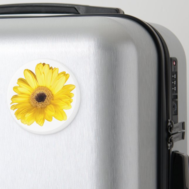 Gult Gerber Daisy Flower Close-Up Photograph Magnet (In Situ (Luggage))