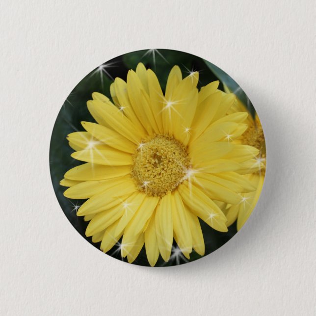 gult gerbera daisy blomma med stjärnor knapp (Framsida)