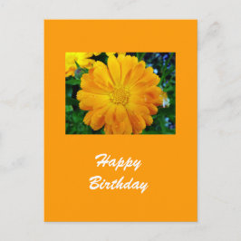 gult gerbera daisy blomma vykort