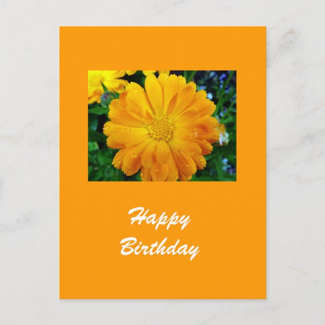 gult gerbera daisy blomma vykort (Framsida)