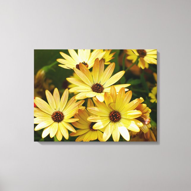 Gult Gerbera Daisy Flowers Canvas Art (Framsida)