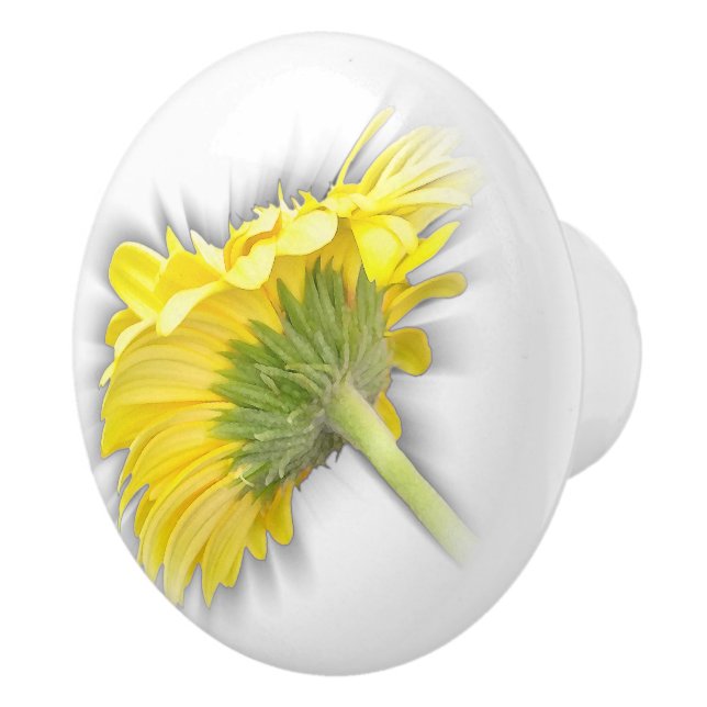 gult gerbera daisy knopp (Höger)