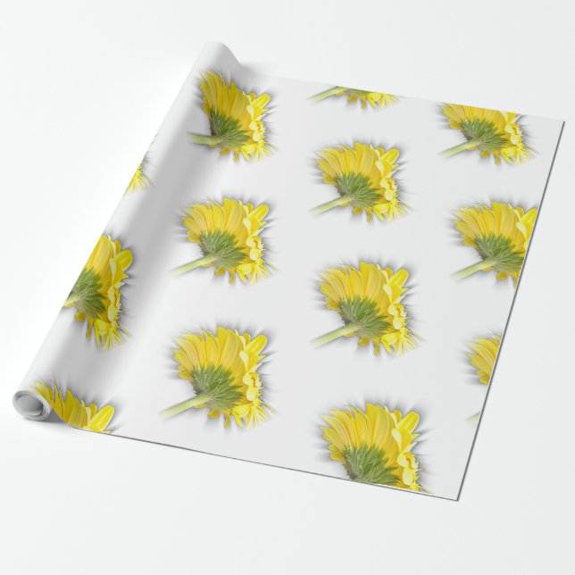 gult gerbera daisy presentpapper (Utrullad)