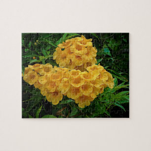 Gult Ginger Thomas Virgin Islands Flowers Pussel