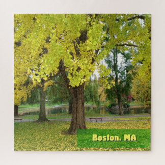 Gult Gingko Träd - Boston Public Garden Pussel
