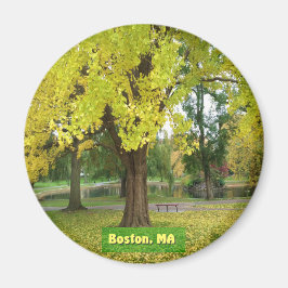Gult Gingko Träd Magnet