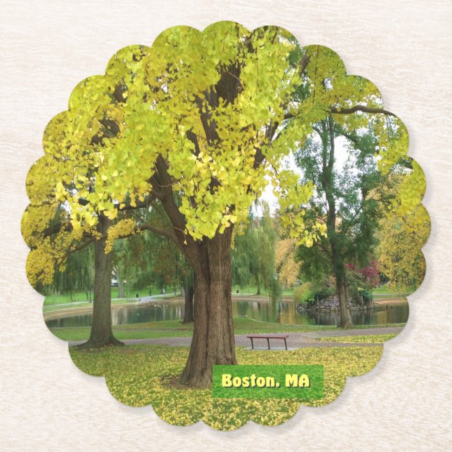 Gult Gingko Träd Underlägg Papper (Framsida)