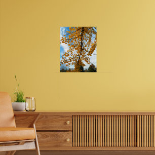 Gult Ginkgo Lövs Photographic Poster
