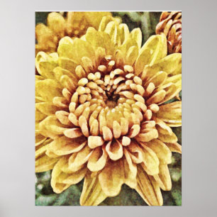 Gult Guld Flower Photographic Art Print Poster