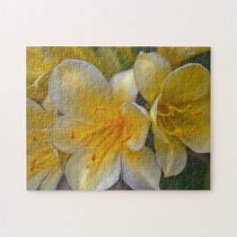 Gult Guld Lily Flowers Blommigt Garden Puzzle Pussel