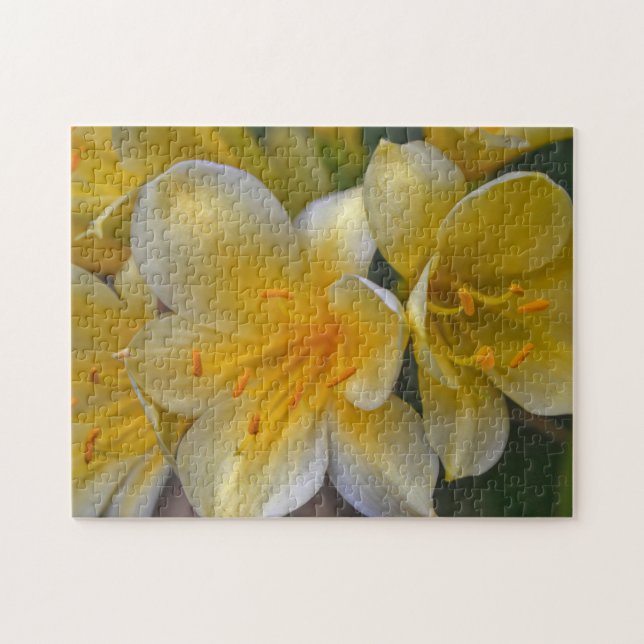 Gult Guld Lily Flowers Blommigt Garden Puzzle Pussel (Horisontell)