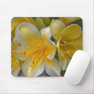 Gult Guld Lily Garden Flowers Mouse Pad Musmatta