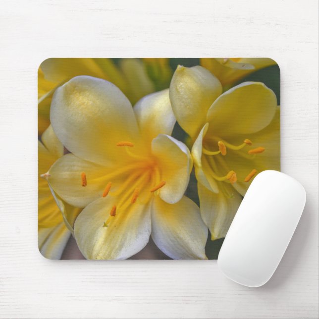 Gult Guld Lily Garden Flowers Mouse Pad Musmatta (Med mus)