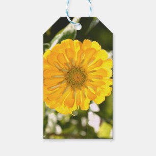 Gult, gult, gult, blommigt presentetikett