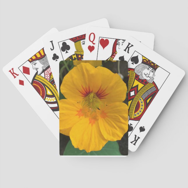 Gult Hawaii Flower Deck of Cards - Aloha! Spelkort (Baksidan)