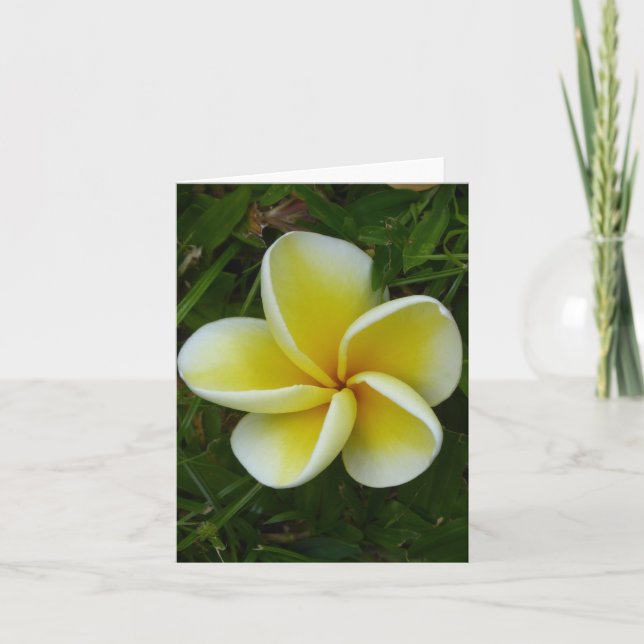 Gult Hawaii Plumeria Foleting Card Kort (Framsida)