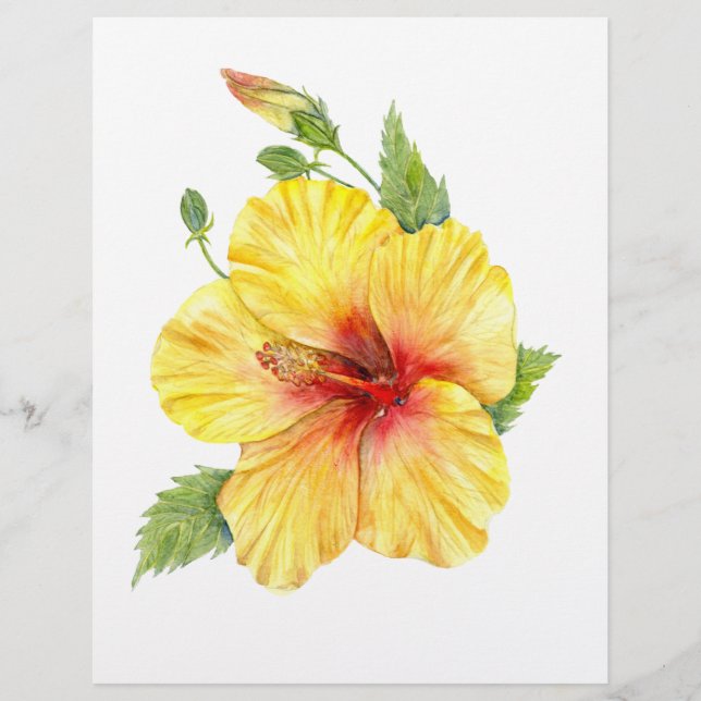Gult Hibiscus botaniska konst (Framsida)